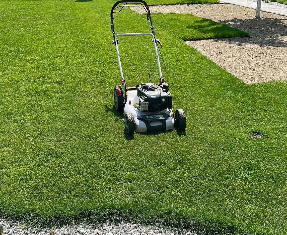 Lawn